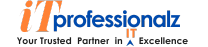 itprofessionalz.com